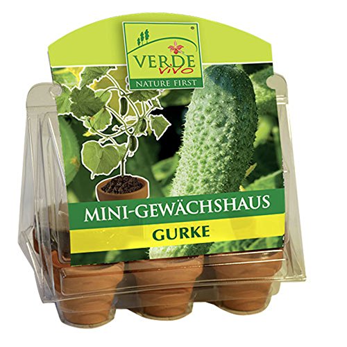VerdeVivo Mini Gewächshaus Komplett-Set mit 6 Terrakotta-Töpfchen, Kokos-Substrat & Saatgut, 100% torffrei, Gurke