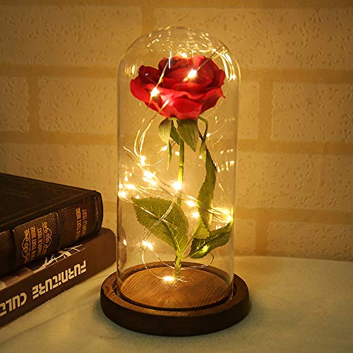 Mondeer Rose Blume Lampe ewige Blumen LED Nachtlicht Hochzeit rote Seidenblumen in Glaskuppel auf Holzsockel Dekoration Jubiläum Party Dekor