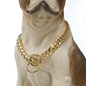 Pups&Pets Dog Collar Chain, Brass Golden Chrome Plated Dog Collar for Large & Medium Size Dogs Length of Choke Chain 24 Inch
