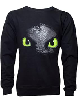 Dreamworks Dragons Kinder Sweatshirt Ohnezahn Toothless, 104 bis 158, schwarz