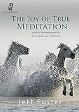 The Joy of True Meditation: Words of Encouragement for Tired Minds and Wild Hearts by Jeff Foster