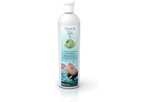 Camylle - Hot Tub Fragrance Eucalyptus - A base di oli essenziali per spa o vasche idromassaggio - Respiratore con aromi freschi e penetranti - 500ml