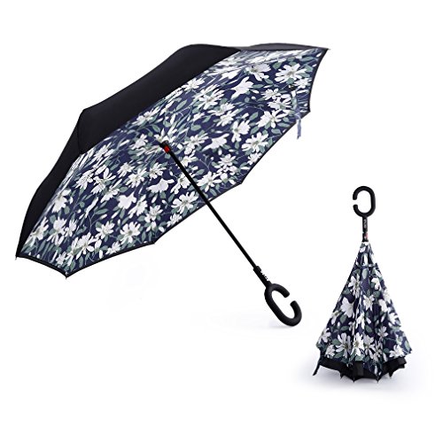 « Click to Enlarge and to go to Amazon »