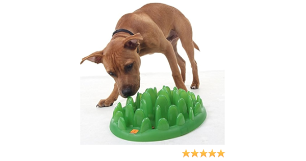 northmate green interactive dog feeder