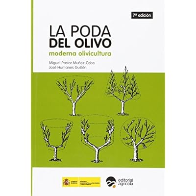 Ebook Calcul integral per a enginyers politext