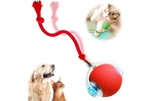 KDELY Genérico Pelota Interactiva para Perros, Pelota para Perros Que Rueda Sola, Juguetes Interactivos para Gatos, Juguete Automático para Gatos, Juguete Inteligente Automático con Que Rueda 360° (Rojo)