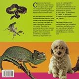 Image de Mi mascota y yo II (Manuales junior)