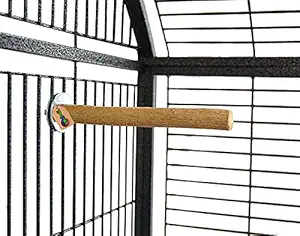 DreamAuro 10 Inches / 25 cm Natural Habitat Wooden Perch/Stand/Toy for Birds (Light Weight)