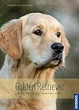 Image de Golden Retriever: Geschichte, Haltung, Ausbildung, Zucht