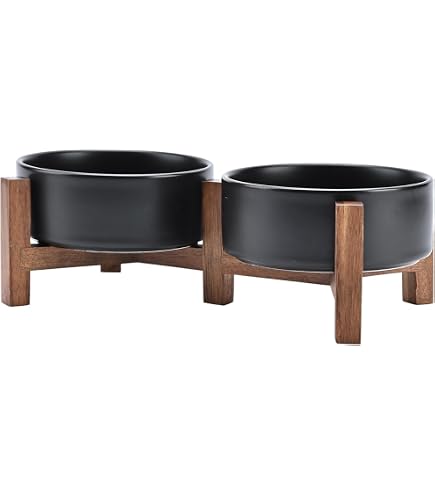 Havniva Erhöhter Hundenapf Keramik - 21,6cm Futter Produktbild-Vorschau 8