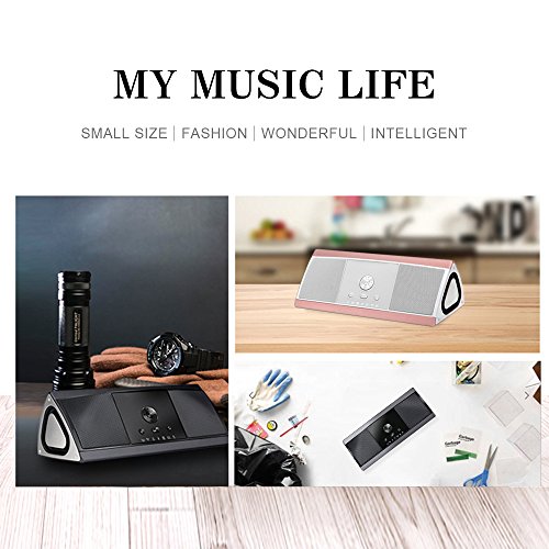 HUKOER HIFI Bluetooth Stereo Lautsprecher mit 10-Stunden-Spielzeit, 66-Fu? Bluetooth Reichweite, mehr Bass, wasserdichter Dual-Driver Portable Wireless Lautsprecher mit niedrigem harmonischen Distortion Surround Dual Stereo Sound, eingebautes Mikrofon fÂ¨Â¹r freih?ndige Anrufe