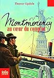 Image de Montmorency, 3 : Montmorency au cœur du complot