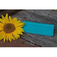 fellschön Bürste, BLAU Unterwollbürste FELLWUNDER