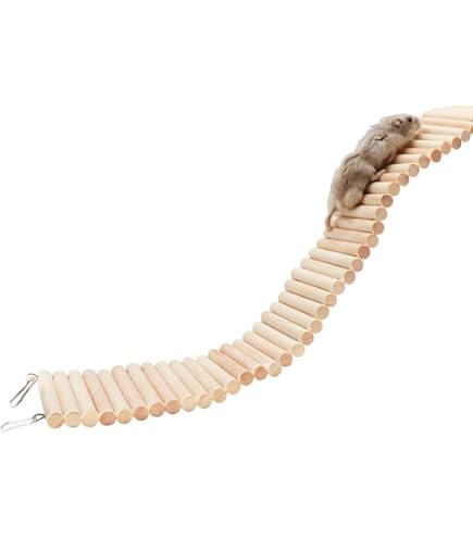 Eichhörnchen Hamster Holzplattform Mit Kletterleiter – Spielzeug Für Nager, Vögel & Kleintiere