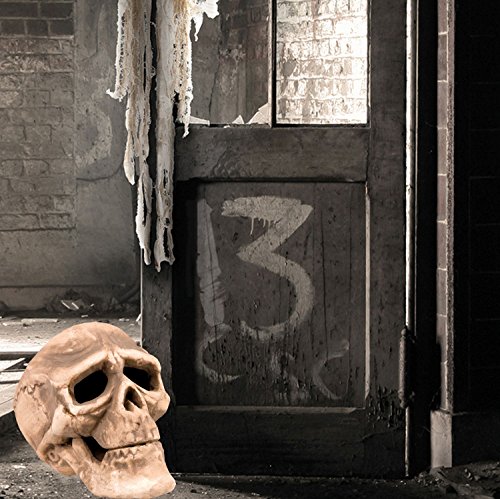 Boland 74366 – Totenkopf, Dekorationen, circa 22 x 15 cm - 2