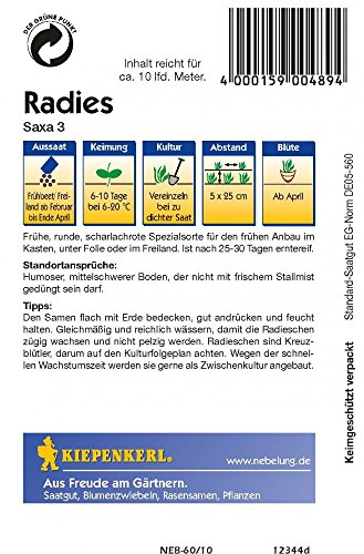 Radieschensamen – Radies Saxa 3 von Kiepenkerl - 2