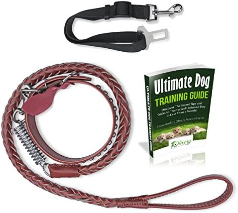 Olivery Deluxe Braided Leather Dog Leash Studded Collar Set with Hole Puncher, Free Pet Safety Belt, Chestnut by Olivery
