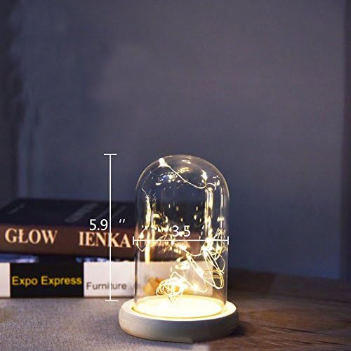 Agywell Glass Dome Lamp Bell Jar Display Dome wooden Base Battery and USB Operated LED Fairy Light ideal for Decoration Anywhere. (5.9inch)