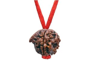 55Carat Choose Your Natural Certified Nepali Rudraksha 1 to 13 Mukhi Ganesh Gauri Shankar Simple Pendant with Red Thread Shiva Astrology Jewelry for Men Women