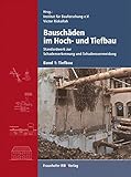Image de Bauschäden im Hoch- und Tiefbau. Standardwerk zur Schadenserkennung und Schadensvermeidun