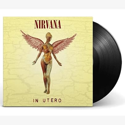 Incesticide -Hq- [Vinyl LP] - Nirvana: Amazon.de: Musik-CDs & Vinyl