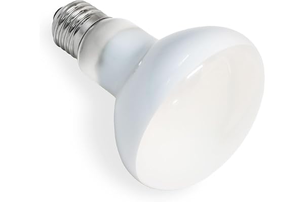 SCNNC Ampoule Chauffante Terrarium 75W UVA E27 R80 Basking Spot, AC 220V Lampe Chauffante Reptile Lumière du Jour, E27 Ampoule Chauffante pour Reptile et Amphibien, Tortues, Lézards, 1 Pièce HL0075