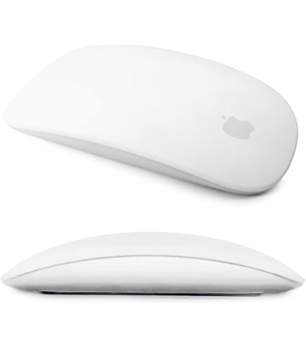 Amazon.in: Buy Apple Magic Mouse - Black Multi-Touch Surface - USB