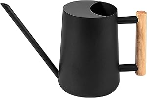 BestYiJo 1L Regadera para Plantas De Interior, Regar Plantas, con Boquilla Larga Y Mango De Madera, Maceta De Riego De Interiores De Acero Inoxidable De Acero Inoxidable En Macetas