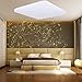 Produktbild HENGMEI 24W Deckenleuchte LED Ultraslim Deckenlampe Warmweiß Kaltweiß Wohnraumleuchte Acryl Küchenlampe für Wohnzimmer Schlafzimmer (24W Kaltweiß)
