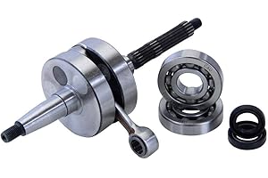 CITOMERX Kurbelwelle + Lager + Simmerring kompatibel mit Typhoon Sfera Zip Gilera Runner Piaggio TPH NRG