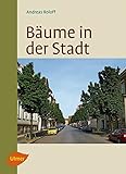 Image de Bäume in der Stadt: Besonderheiten, Funktion, Nutzen, Arten, Risiken