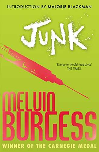 Junk (English Edition) Junk (English Edition)