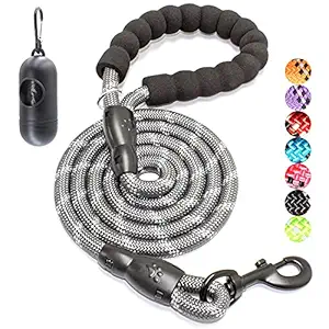 BAAPET 2/4/5/6 FT Strong Dog Leash with Comfortable Padded Handle and Highly Reflective Threads for Small Medium and Large Dogs (4FT-1/2', Grey)