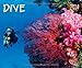 Dive 2014 by