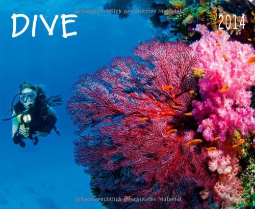 Dive 2014