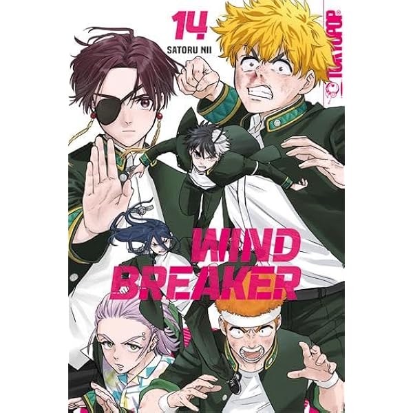 Wind Breaker 15 : Nii, Satoru, Müller, Jan-Christoph: Amazon.de