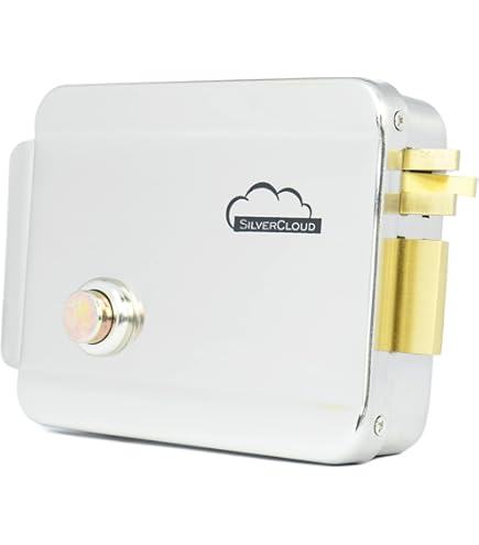 Elettroserratura Dx Cisa 11731 Serratura Elettrica Per Cancello 60 Mm