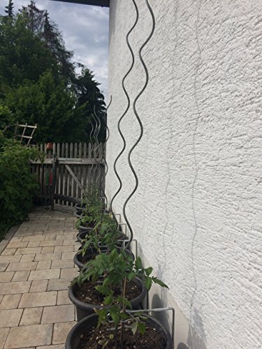 Moser-Stabhalter Halterung für Rankhilfe Tomaten Gartendeko etc. [Rankhilfe, Topf und Untersetzer nicht im Lieferumfang] (Groß mm 250*250*340) - 4