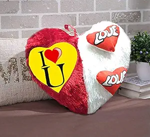 DreamVio Love Heart Shape Valentine Day Gift Fur Cushion,Plush Pillow for Gifting on Birthdays,Anniversaries Color - Red, White (Size- 17x17 inch) Shape 32