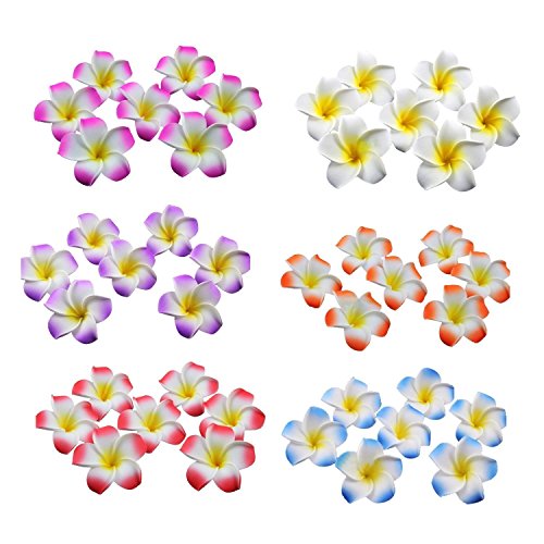 HugeStore 100er 6CM Plumeria Hawaiian Frangipani Schaumblüte für Hochzeit Party Dekoration Weiß - 2