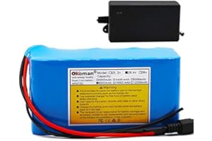 OKOMAN 24V 8ah Vélo électrique Batterie Au Lithium-ION 29.4V 8000mAh Batterie Pack Moteur De Fauteuil Roulant + Chargeur
