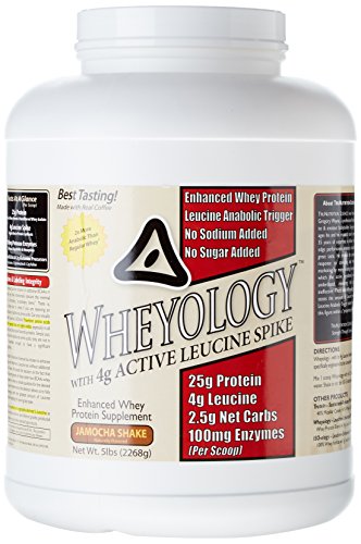 Wheyology 5 lb Jamocha Shake