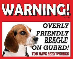 beagle guard dog