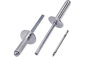 SKIR'CO Remaches ciegos de aluminio con brida grande (150 piezas) 5.0 x 25 mm, mandril de acero, broca incluida