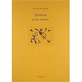 SPINOZA PRACTICAL PHILOSOPHY