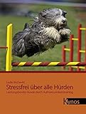 Image de Stressfrei über alle Hürden: Leistungsbereite Hunde durch Aufmerksamkeitstraining