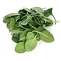 Farm Folk Spinach 200g
