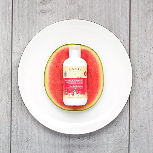 SANTE Naturkosmetik Volumen Shampoo Bio-Goji and Melone, 2er Pack (2 x 200 g) - 2