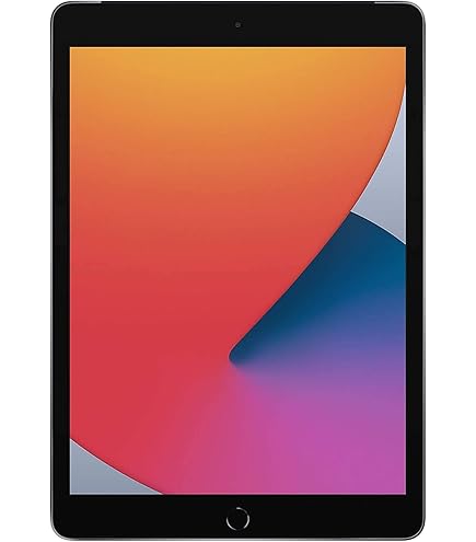 2019 Apple iPad (10.2-inch, Wi-Fi + Cellular, 32GB) - Space Gray
