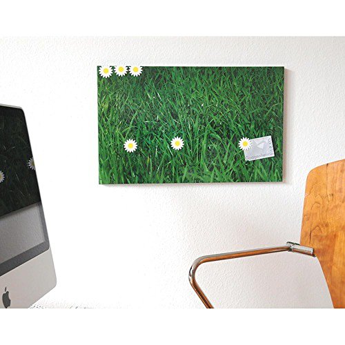 HAB & GUT (RB003) Magnettafel WIESE, mit 6 Blumen-Magneten, 33 x 53 cm Design Motiv